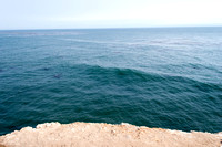 Wave Forming - Santa Cruz, California