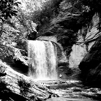 Looking Glass Falls - North Carolina - YashicaMat