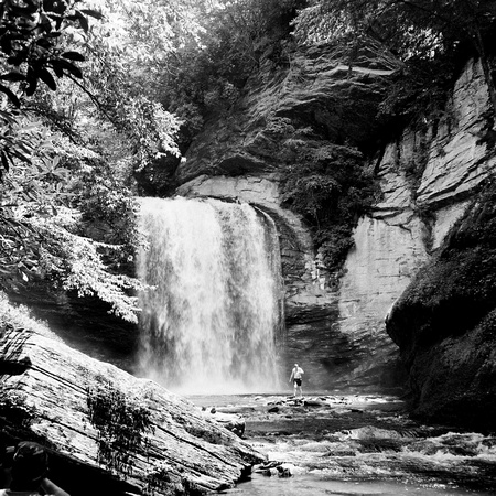 Looking Glass Falls - North Carolina - YashicaMat