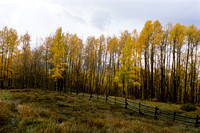 La Sals in Autumn - Utah