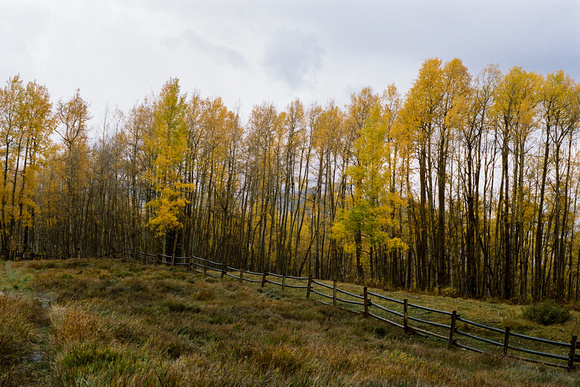 La Sals in Autumn - Utah