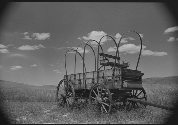 Covered Wagon - Nikon F100 - Ilford HP5+