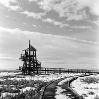 Bird Refuge in Black & White