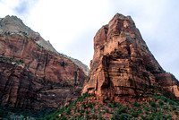 Giants of Zion National Park