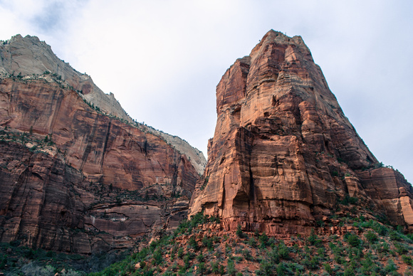 Giants of Zion National Park