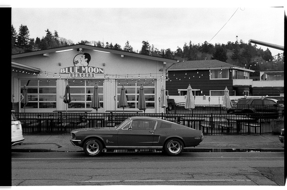 Mustang Seattle - Nikon F100 - Ilford HP5+