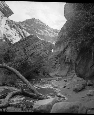 Snow Canyon through an old camera